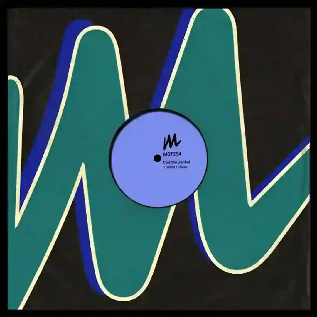 What U Need (Extended Mix) cover