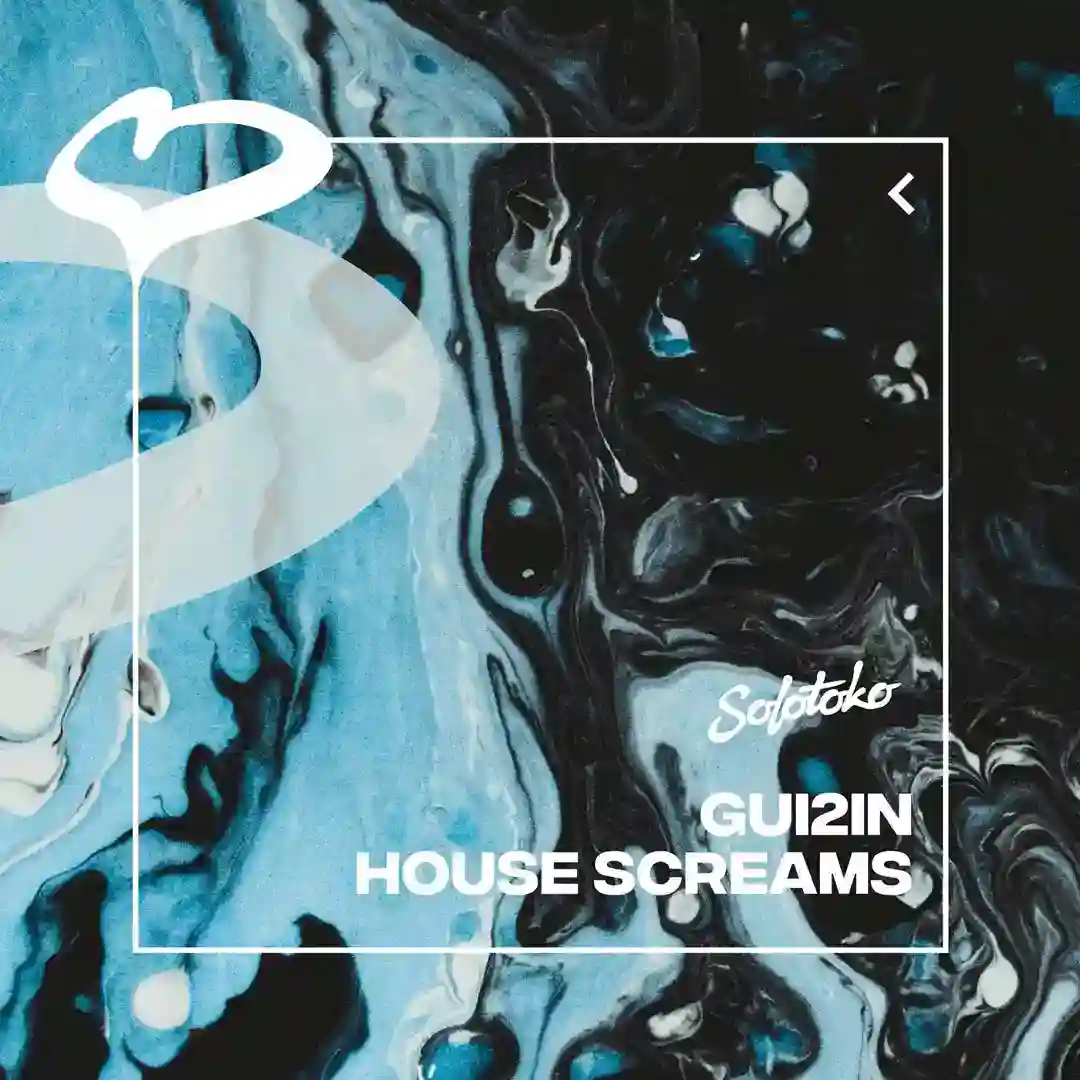 House Screams (Extended Mix) cover