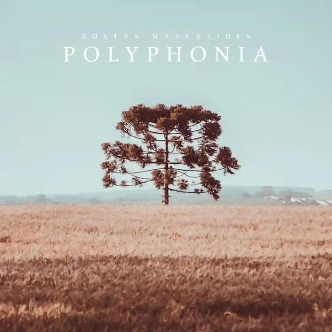 Polyphonia (Original Mix) cover