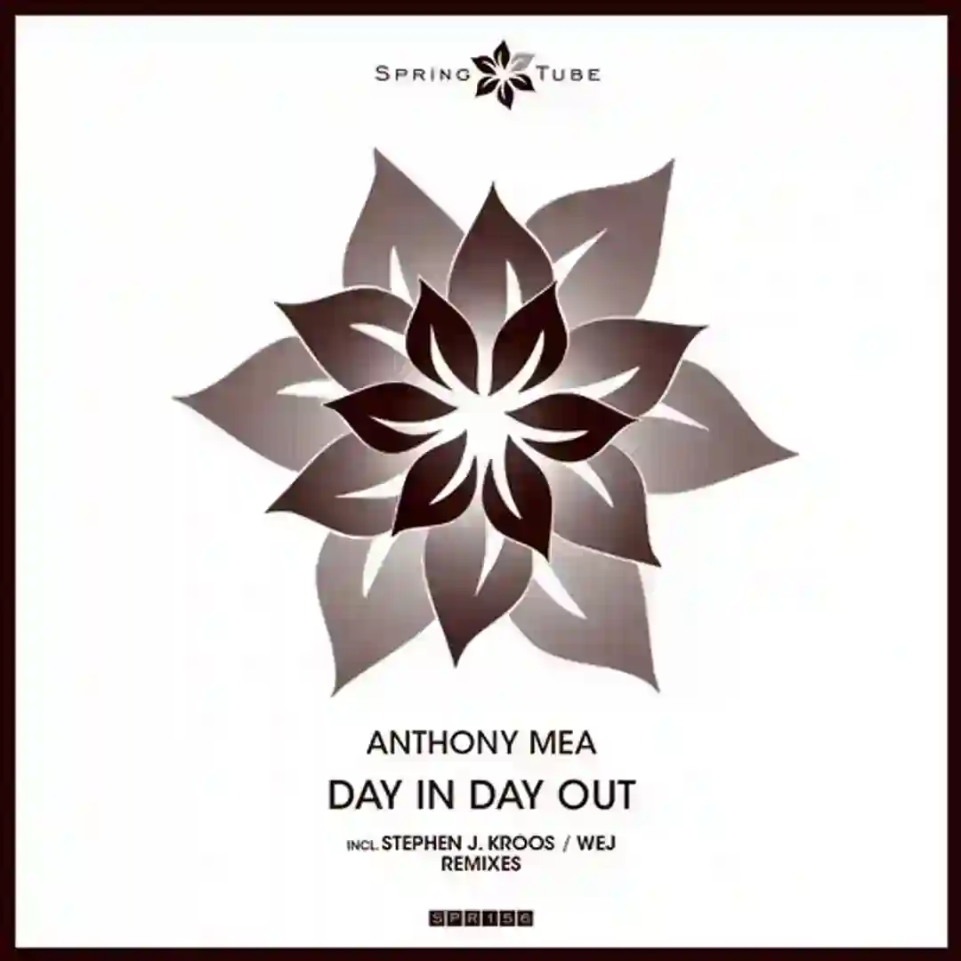 Day in Day Out cover