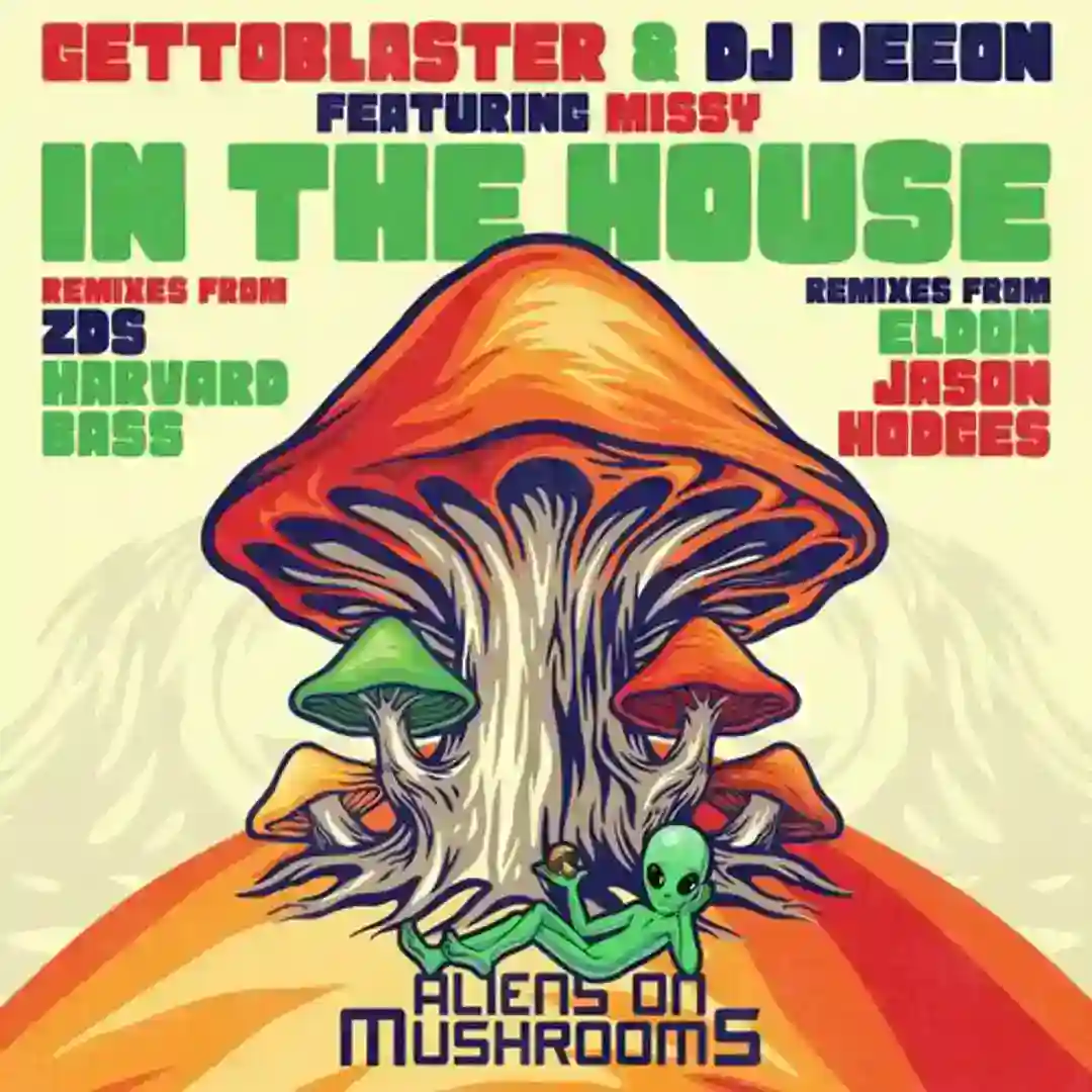 In The House (Jason Hodges Remix) cover