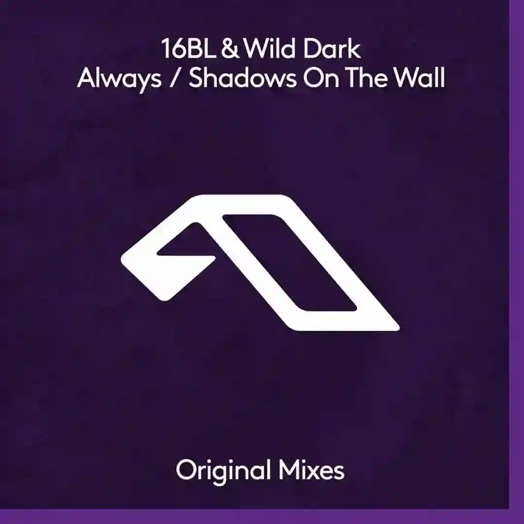 Shadows On The Wall (16BL Mix) cover