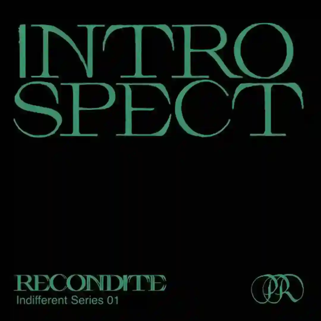 Introspect cover