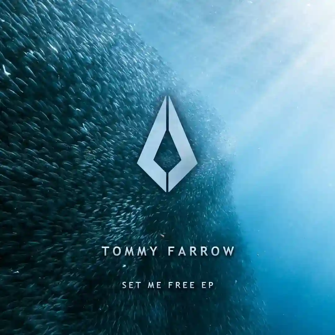 Human After All (Extended Mix) cover