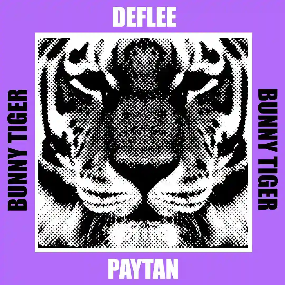 Paytan cover