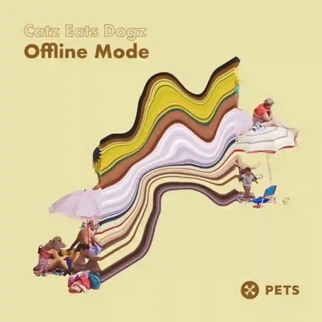 Madness Groove (Original Mix) cover