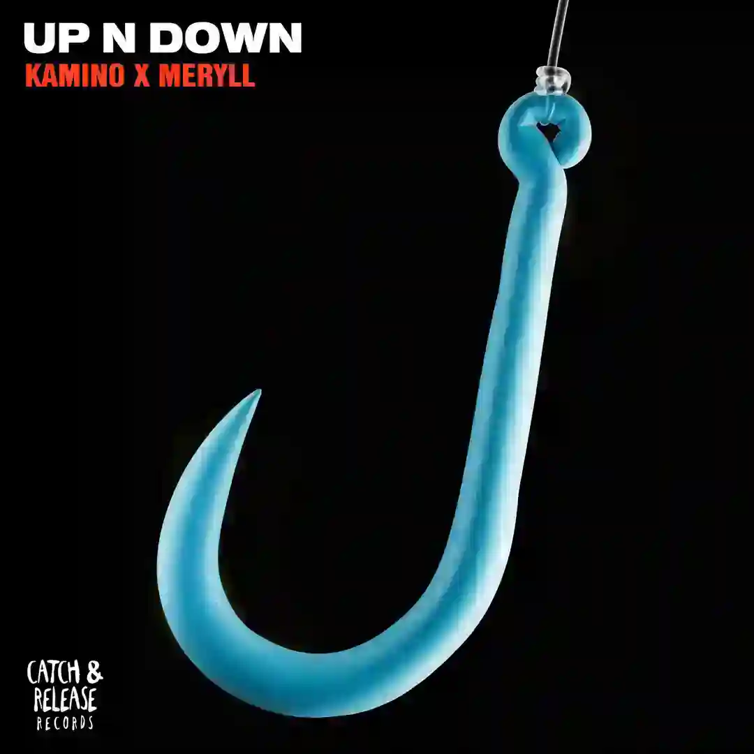 Up N Down (Extended Mix) cover