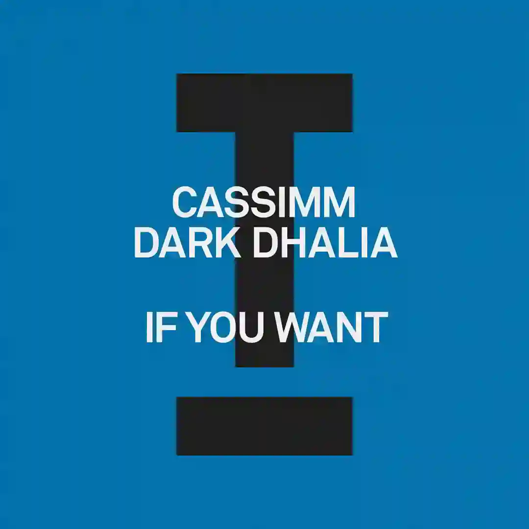 If You Want (Extended Mix) cover