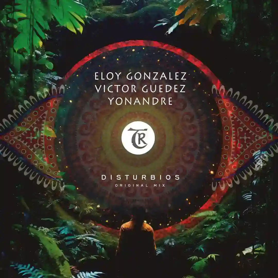 Disturbios (Original Mix) cover