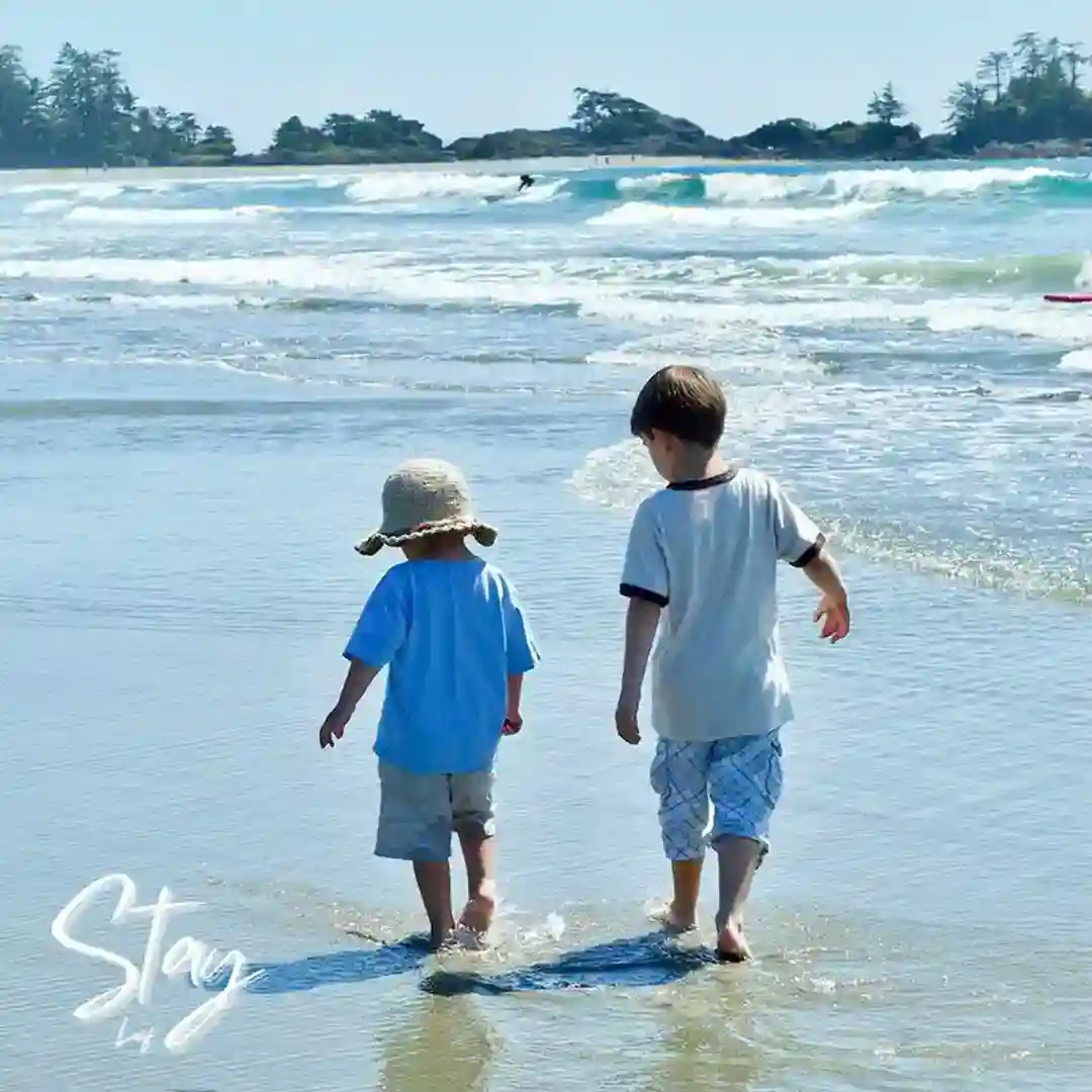 Stay cover