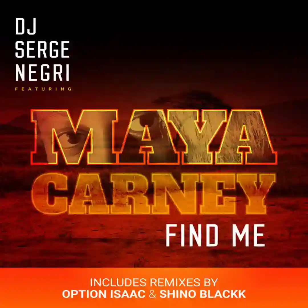 FInd Me (DJ Serge Negri Mix) cover