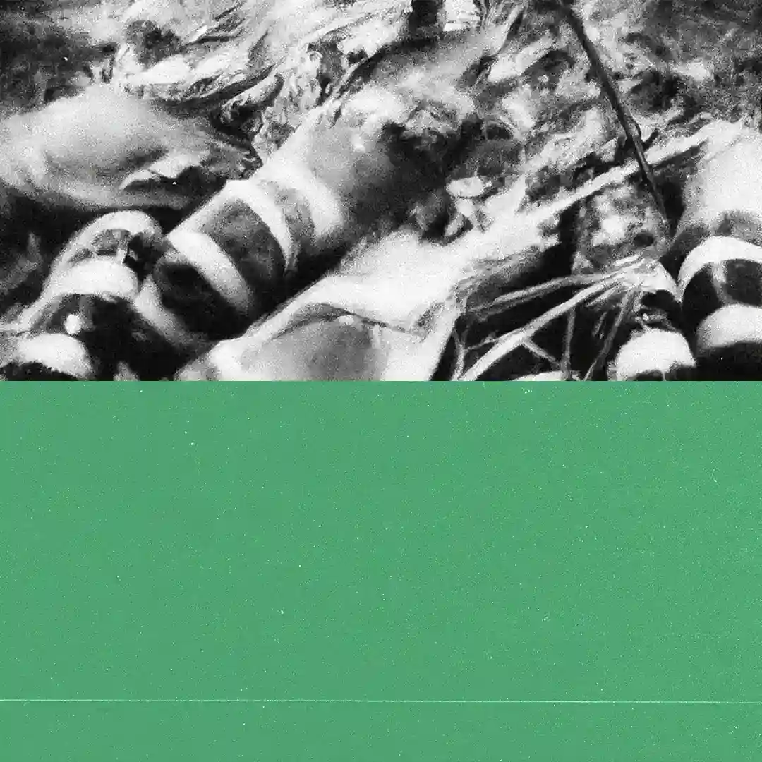 Da Haze cover
