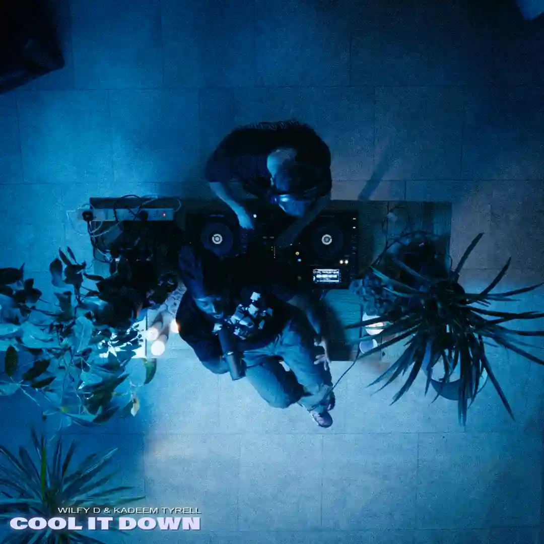 Cool It Down (Club Dub) cover