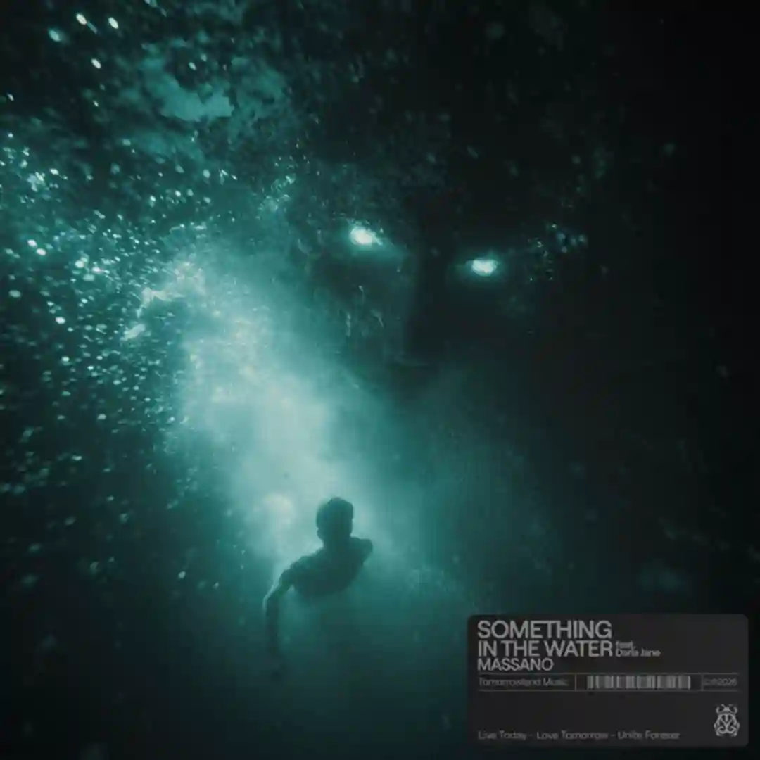 Something In The Water (Extended Mix) cover
