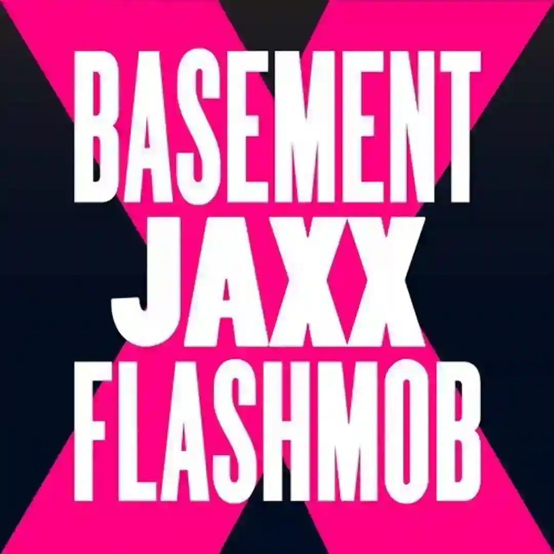 Fly Life (Flashmob Remix) cover