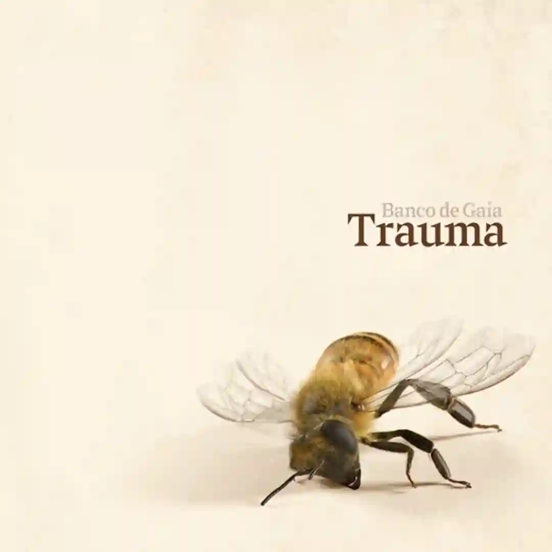 Trauma cover