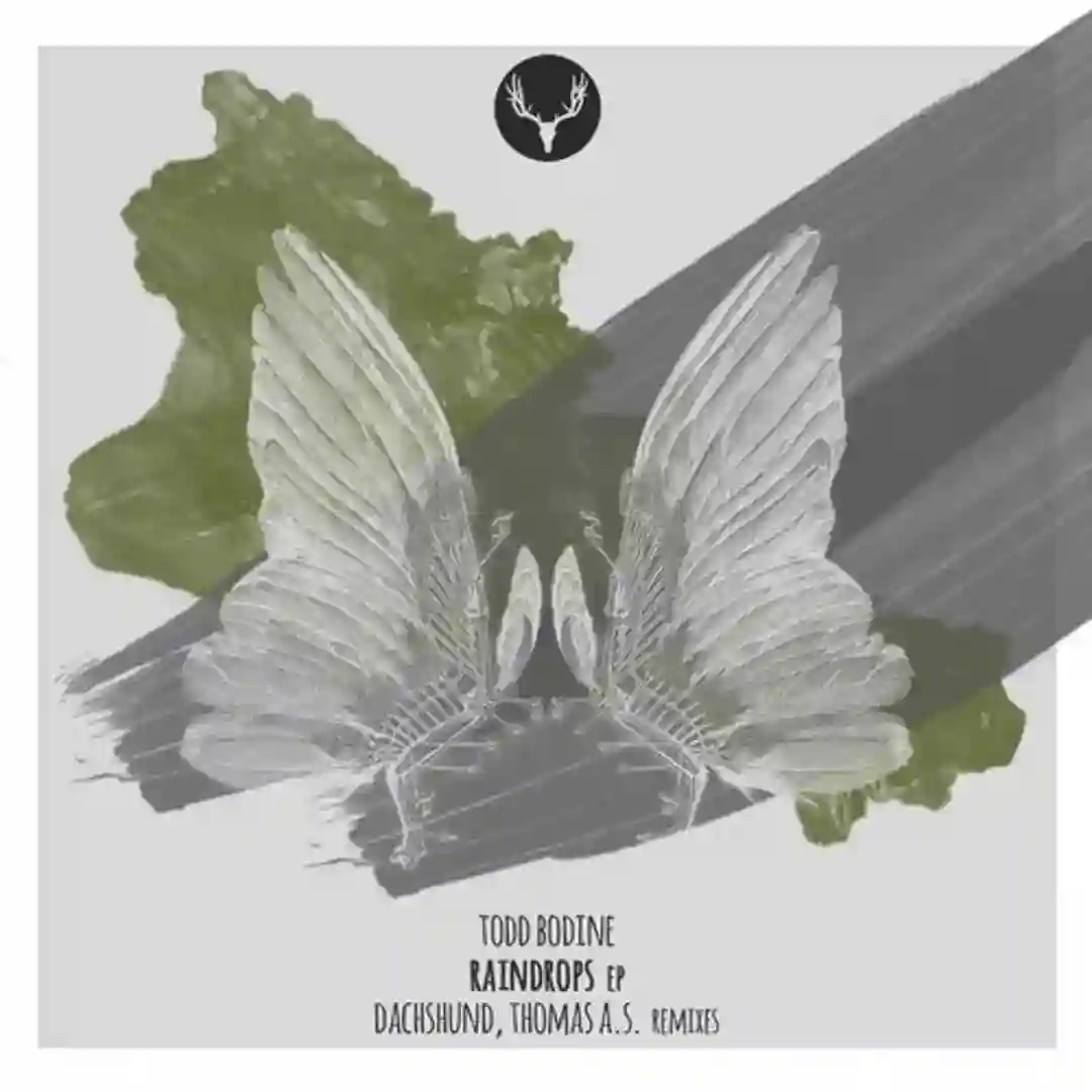 Raindrops (Thomas A.S. Remix) cover