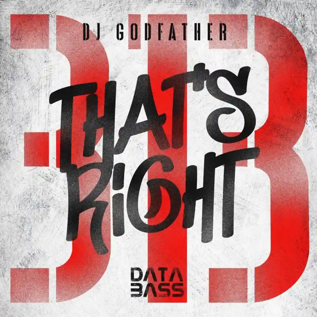 That's Right (313) (Original Mix) cover