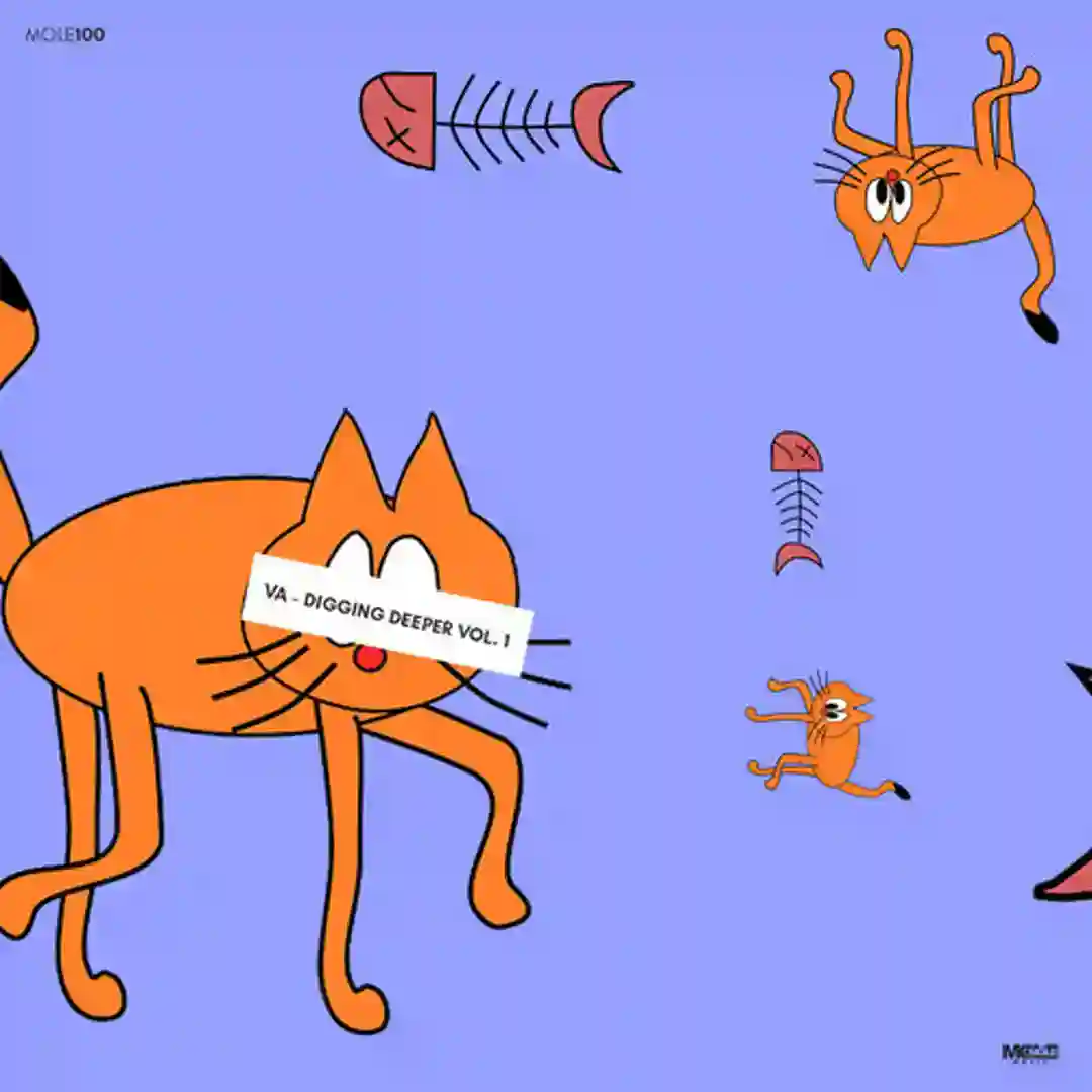 Radialis (Original Mix) cover