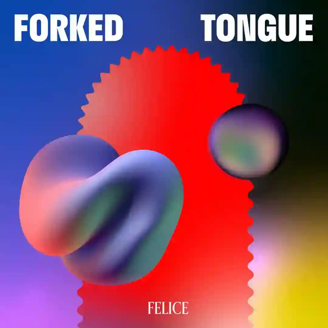 CS-4 cover