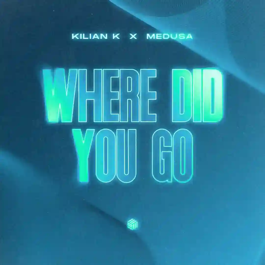 Where Did You Go (Original Mix) cover
