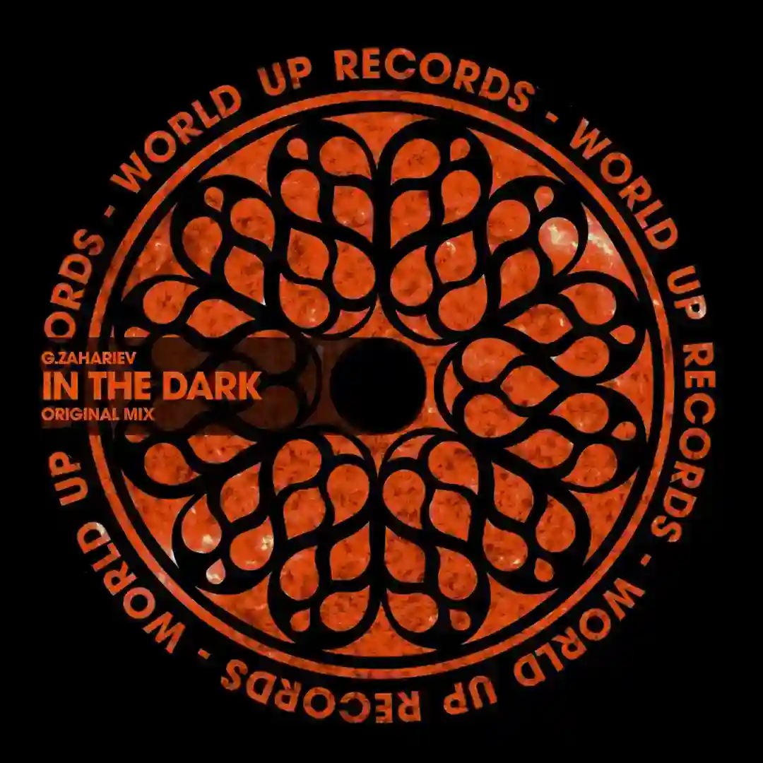 In The Dark (Original Mix) cover