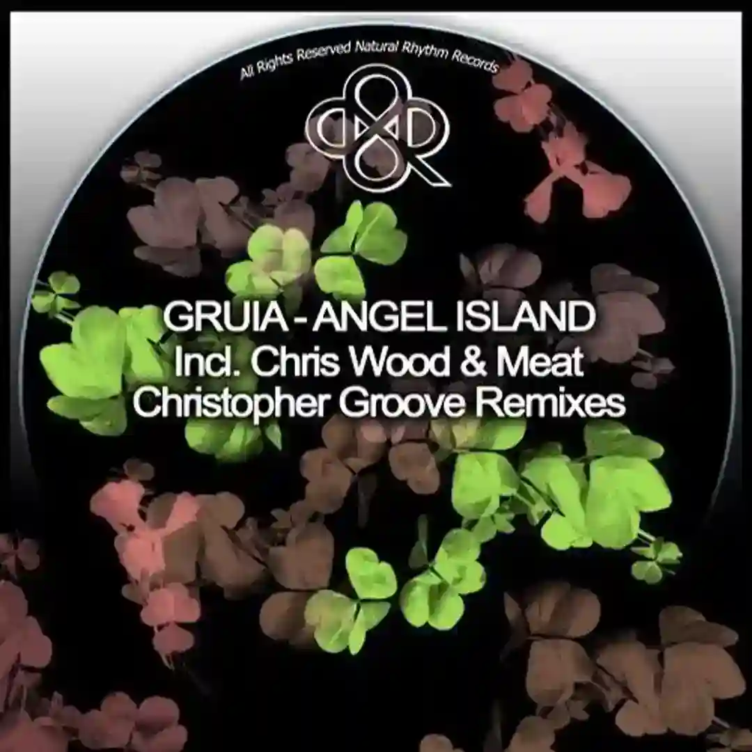 Angel Island (Original Mix) cover