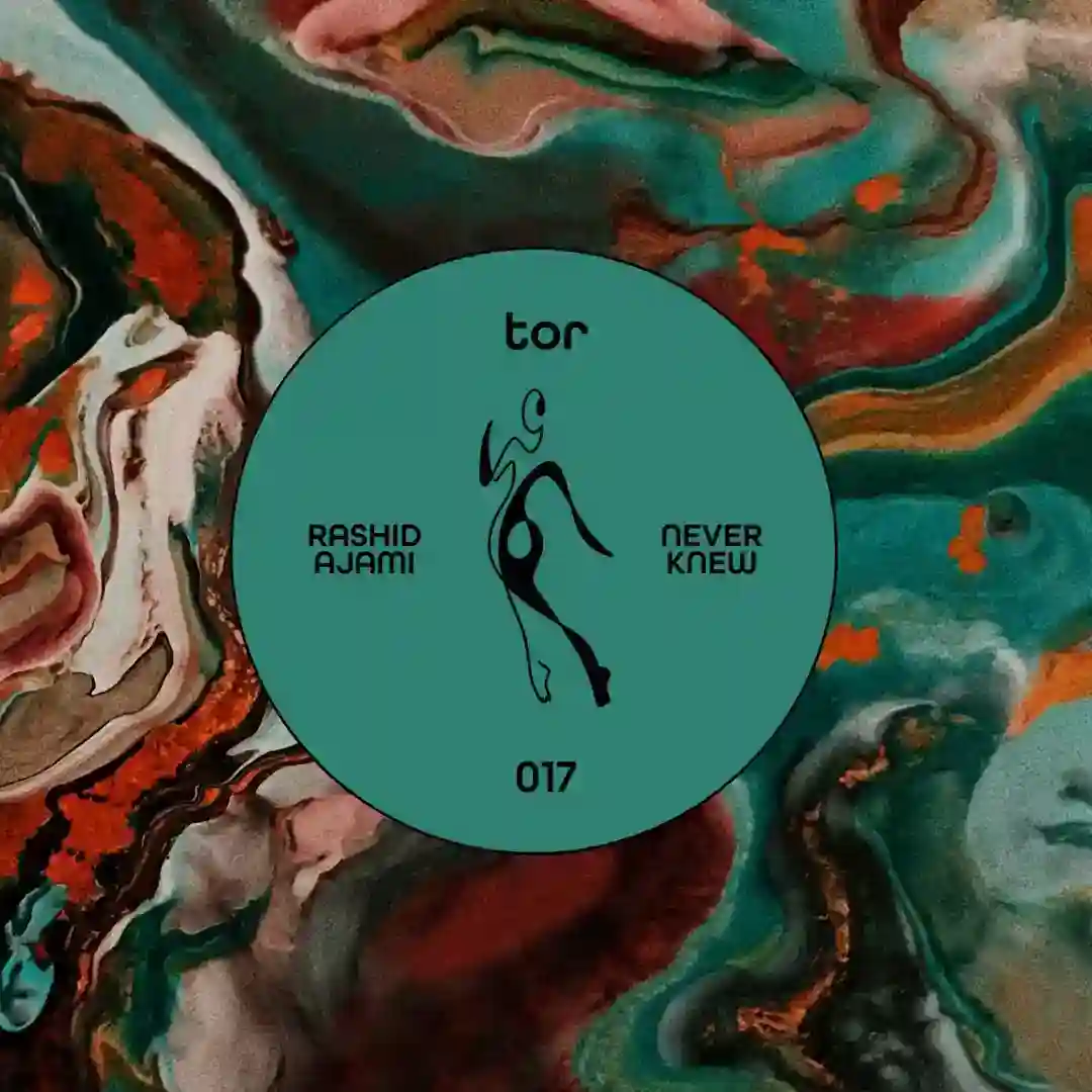 Never Knew cover