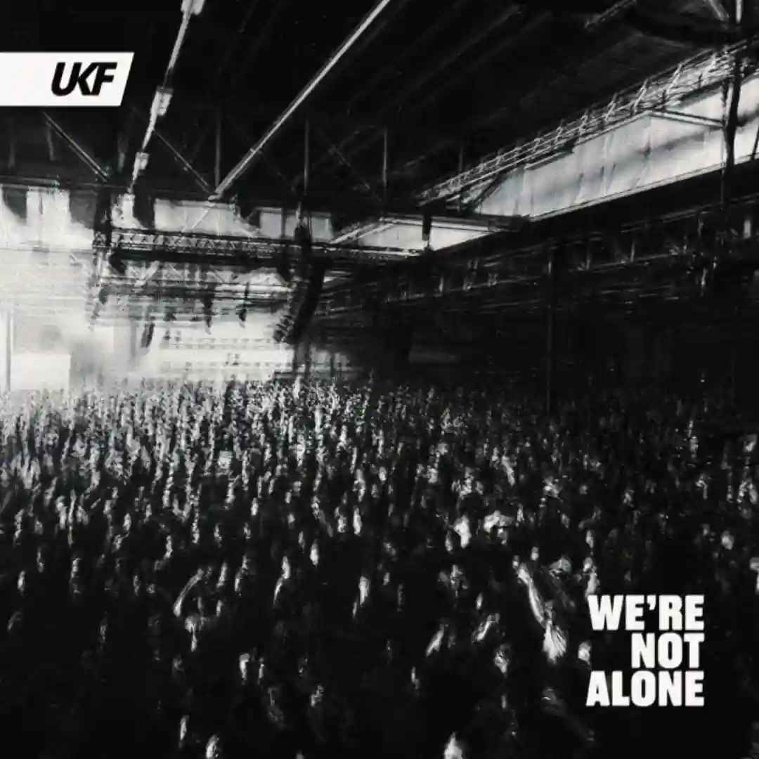 We're Not Alone (Original Mix) cover
