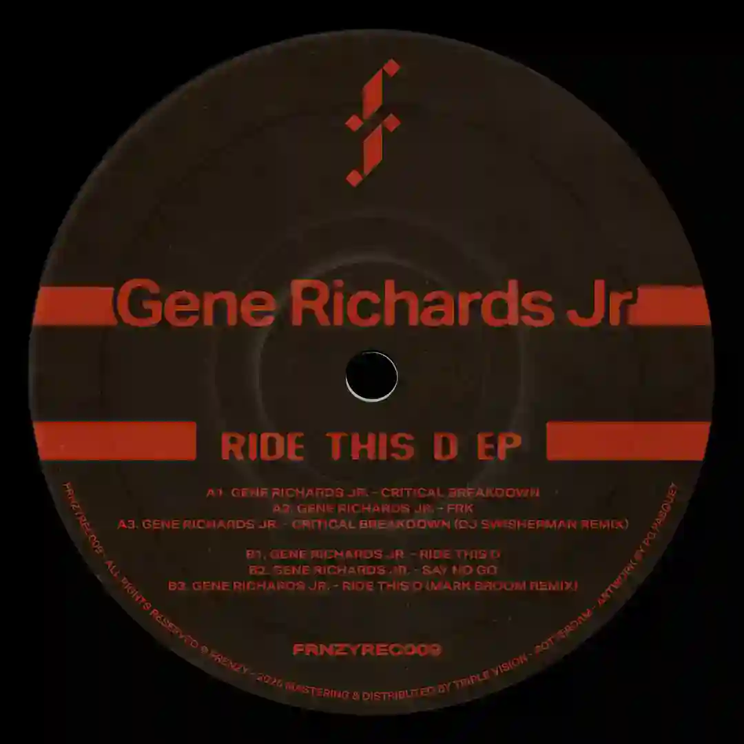 Ride This D (Original Mix) cover