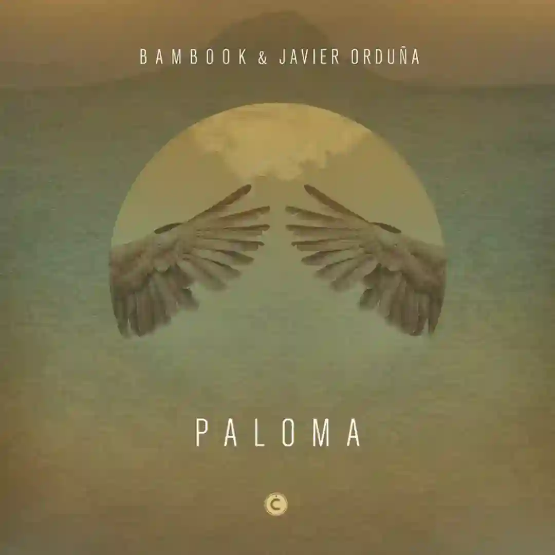 Paloma (Quina remix) cover