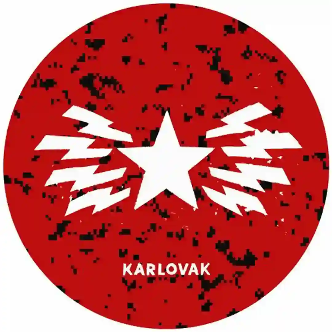 Assholes 'n' Elbows (Original Mix) cover