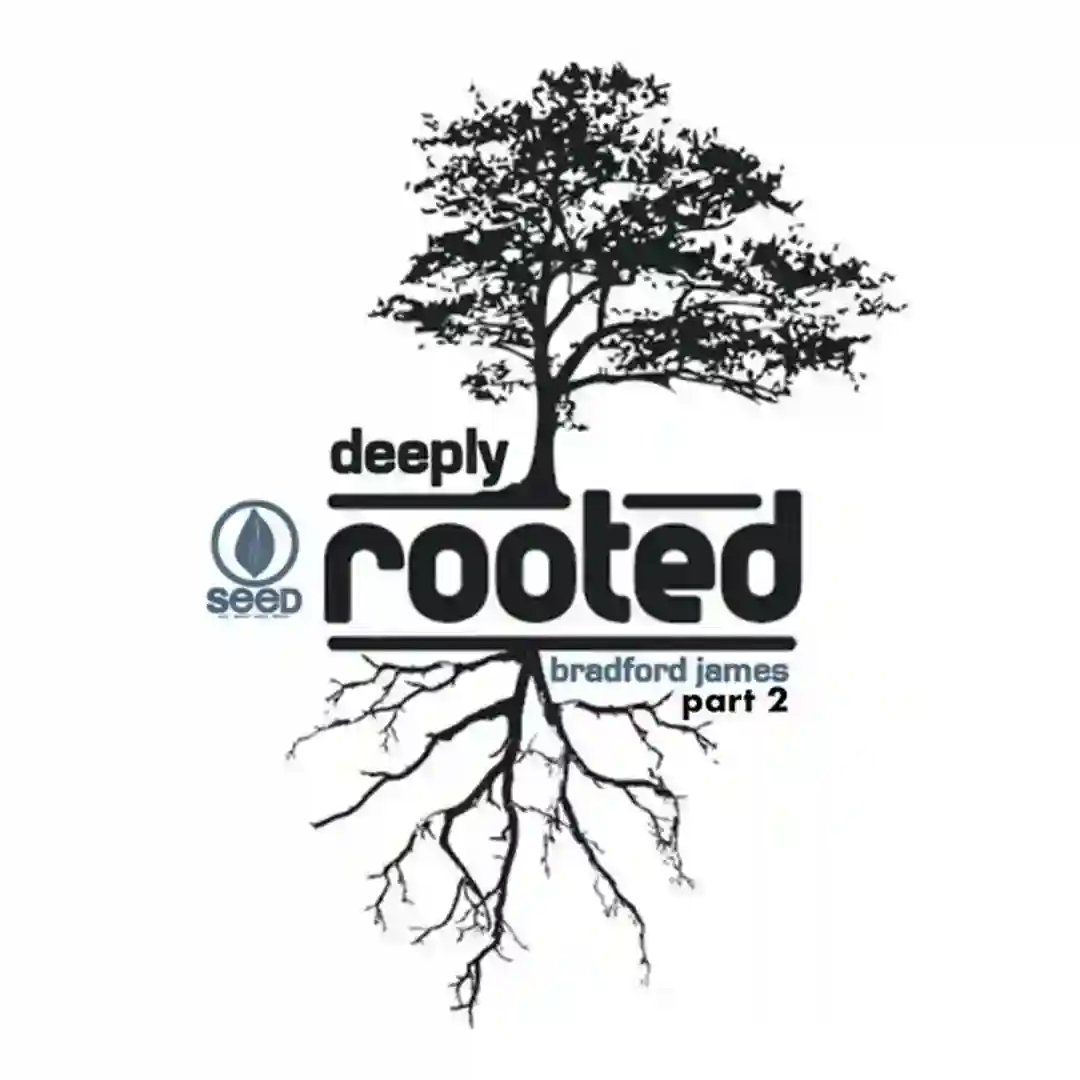 Icanfeelit (Original Mix) cover