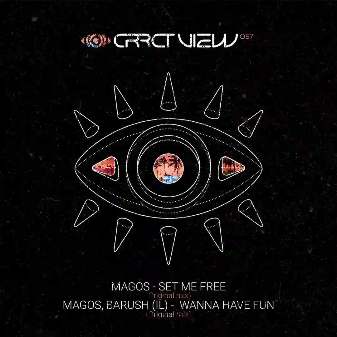 Wanna Have Fun (Original Mix) cover