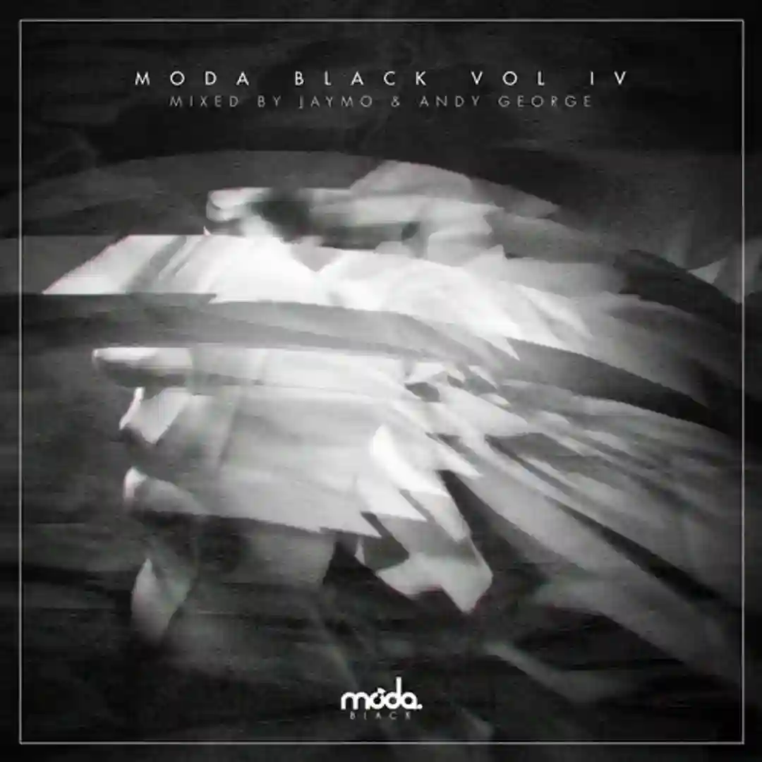Vamonos (Original Mix) cover
