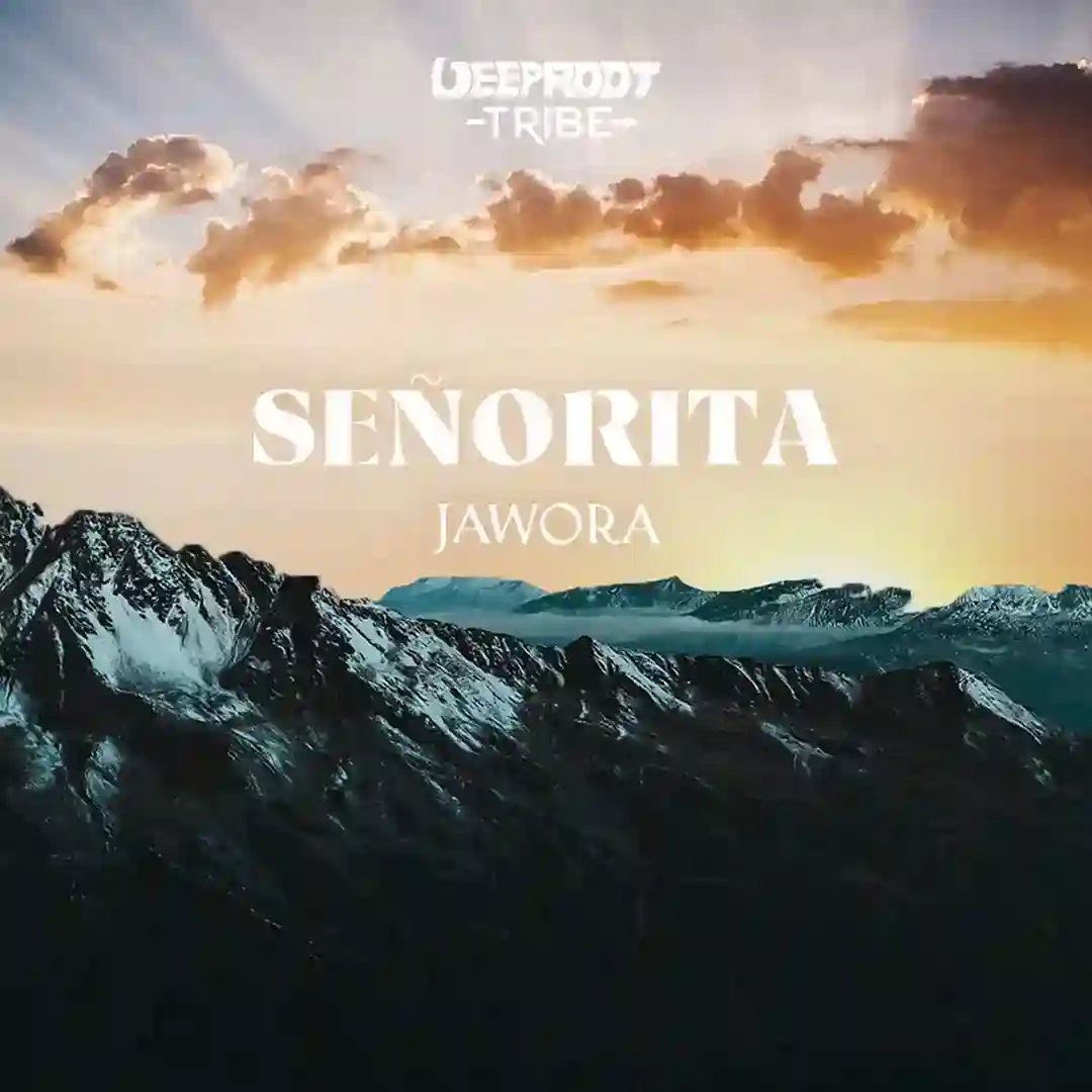 Señorita cover
