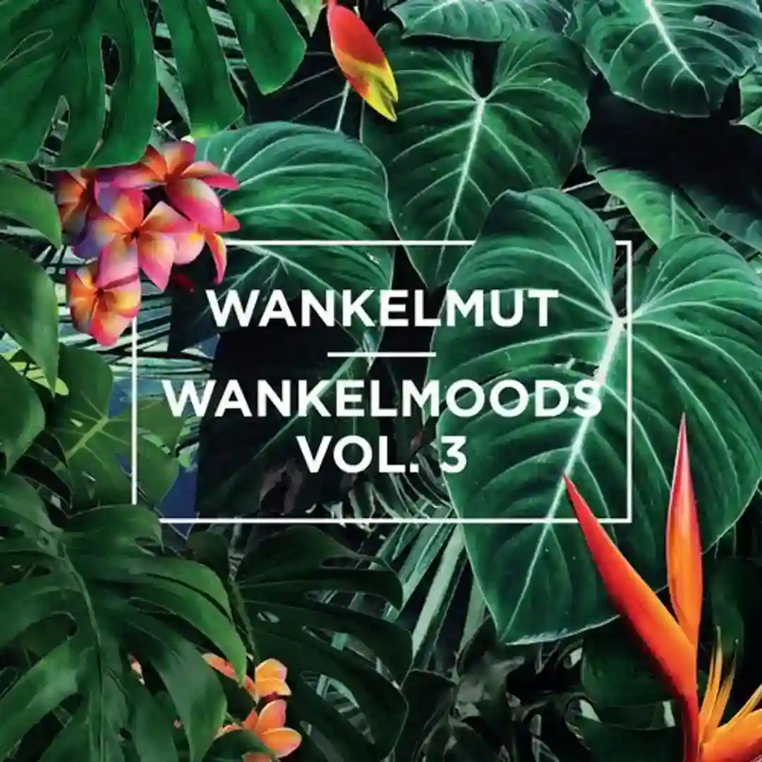 Wankelmoods, Vol. 3 (Continuous Mix) cover