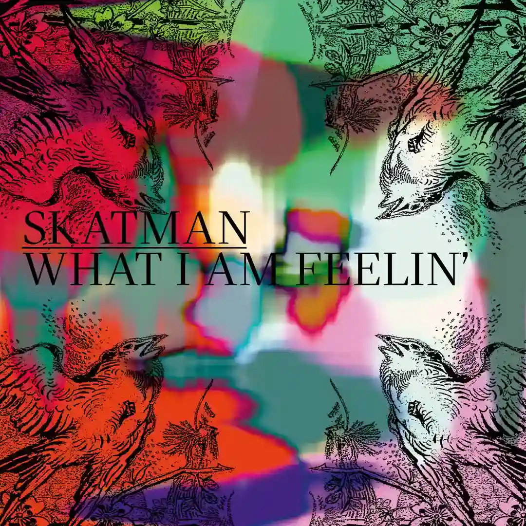What I Am Feelin' (Original Mix) cover