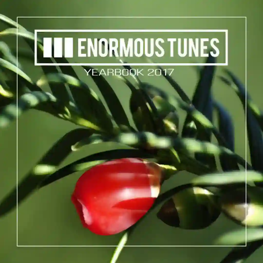 So Many Times cover