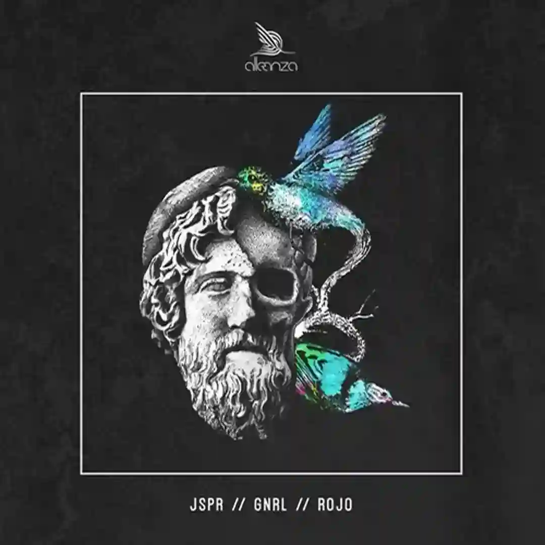 ROJO (Original Mix) cover