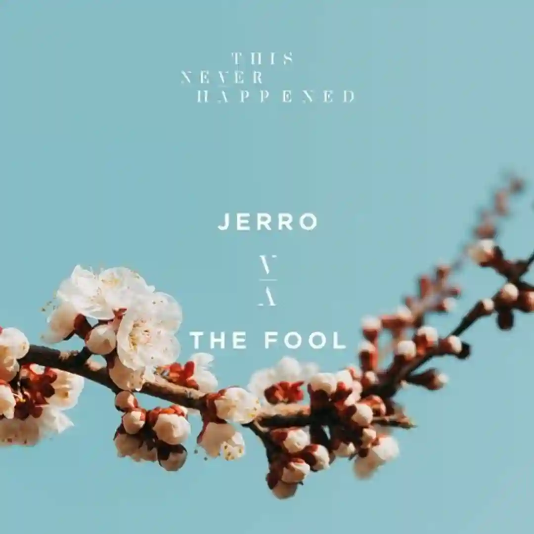 Irene (Original Mix) cover