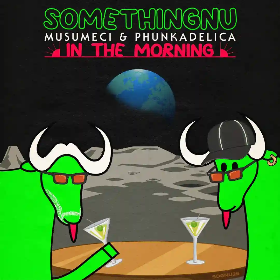 In The Morning cover