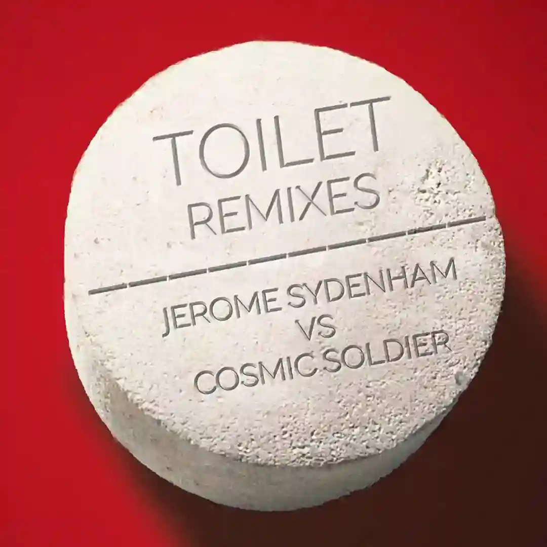 Toilet Song cover