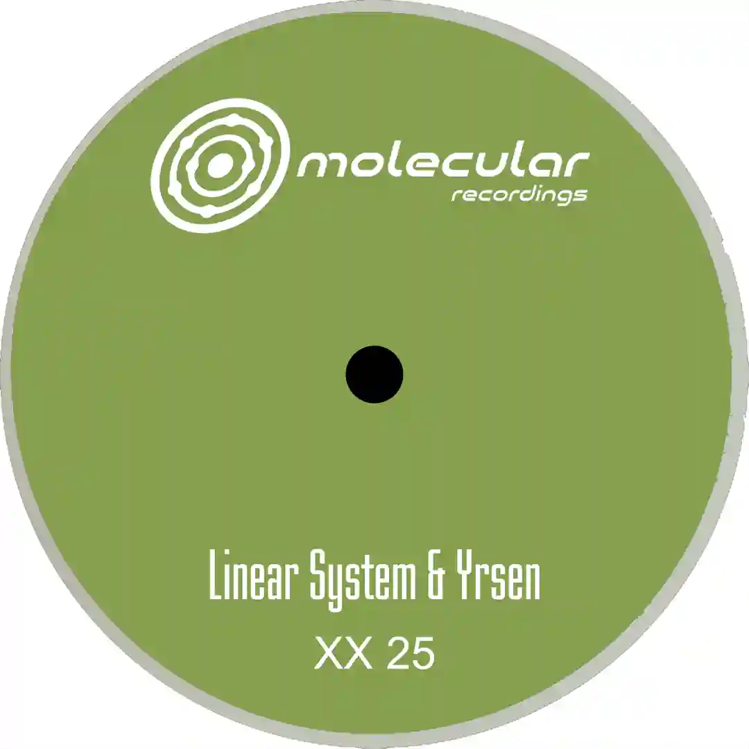 XX 25 B1 (Original Mix) cover