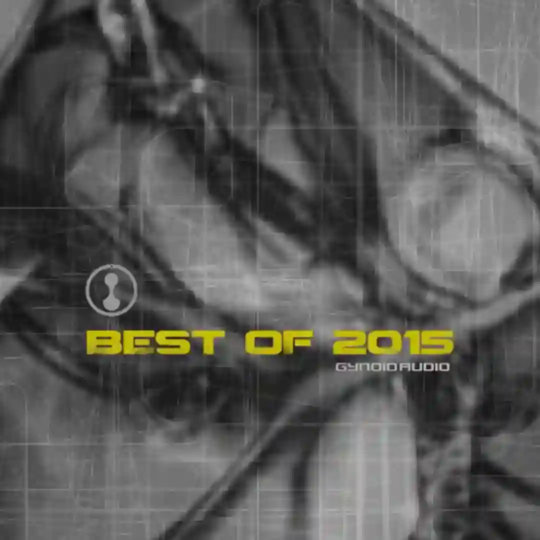 Internal Voice (Original Mix) cover