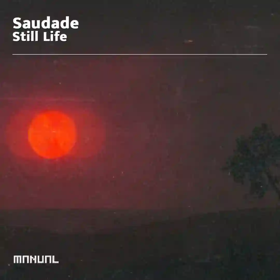 Still Life cover