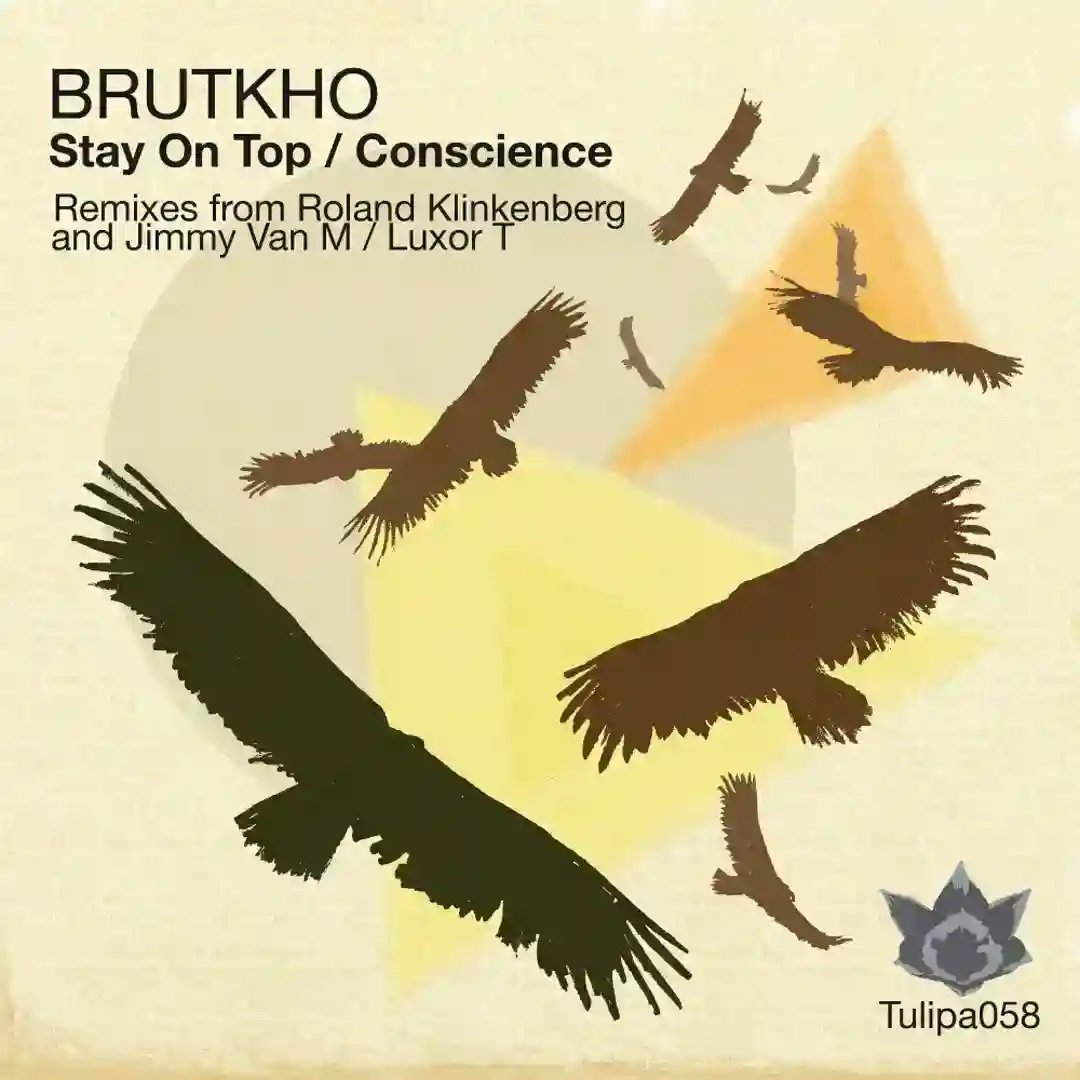 Stay On Top (Roland Klinkenberg Remix) cover