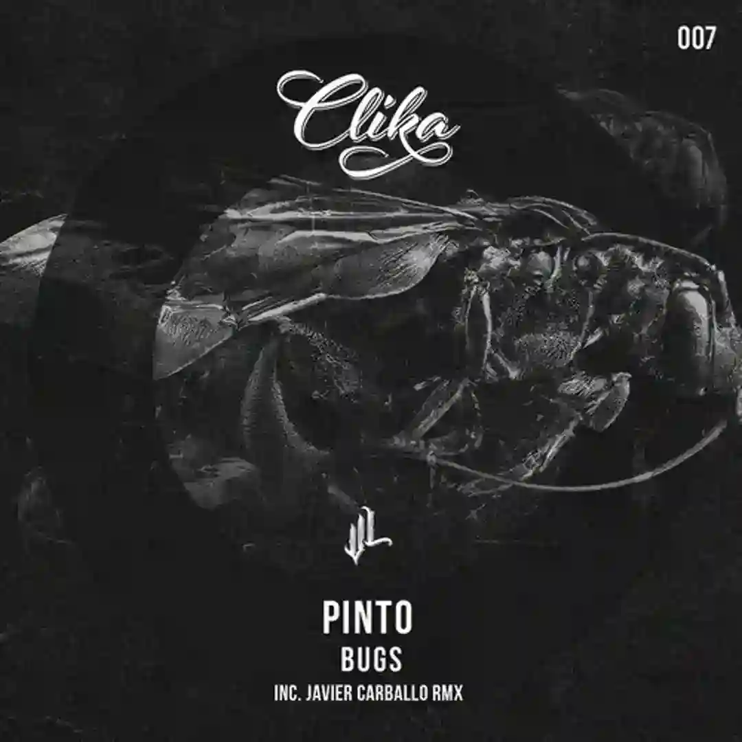 Bugs (Javier Carballo Remix) cover