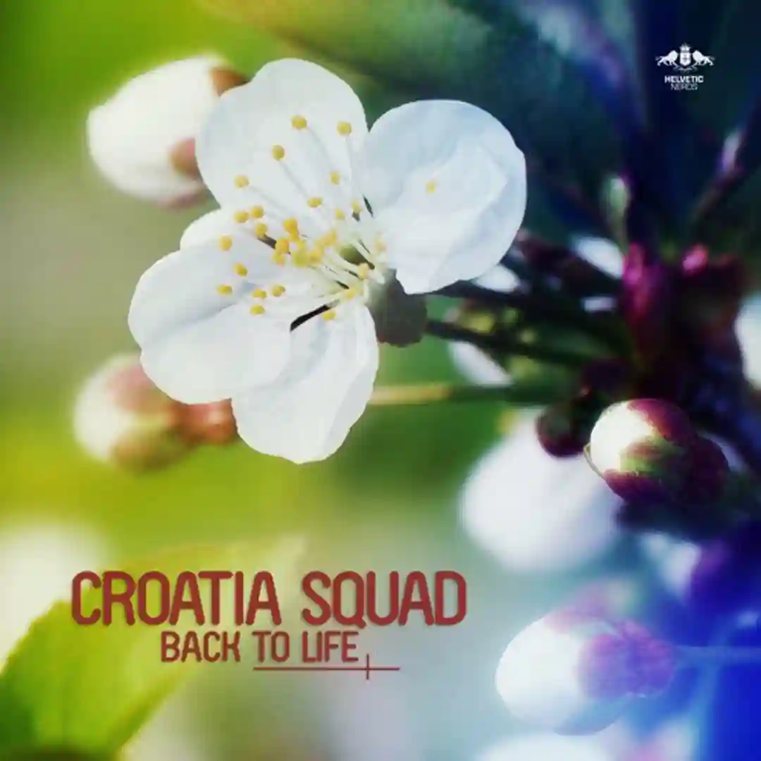 Back to Life (Original Mix) cover