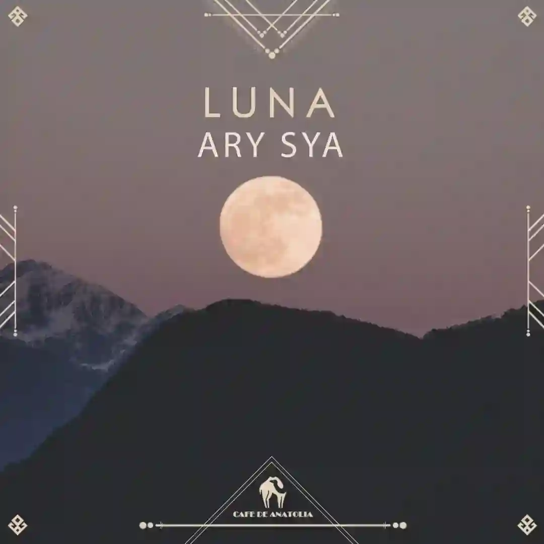 Luna cover